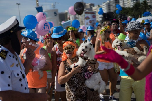Carnaval canin de Rio (Photo 1)