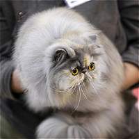 En attendant le verdict du jury