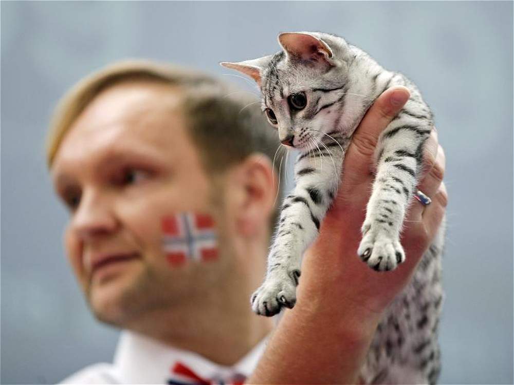 Cérémonie de remise des prix