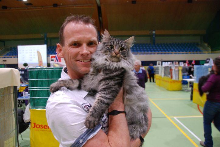 ange vedette du Maine Coon Show