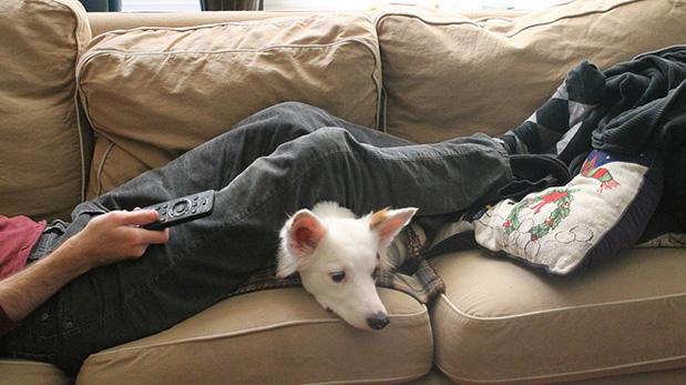 Avec le propriétaire