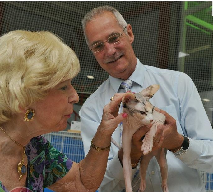 Participants intéressants