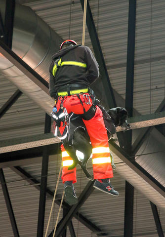 Un chien de sauvetage descend avec son maître.