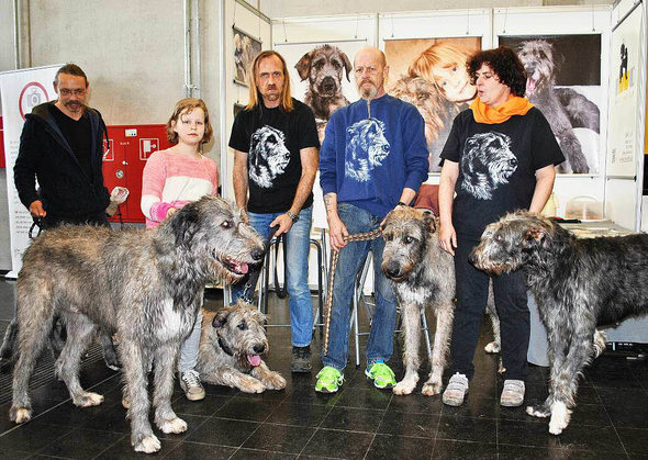 Compagnie de lévriers irlandais