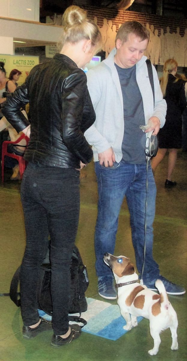 La race la plus populaire