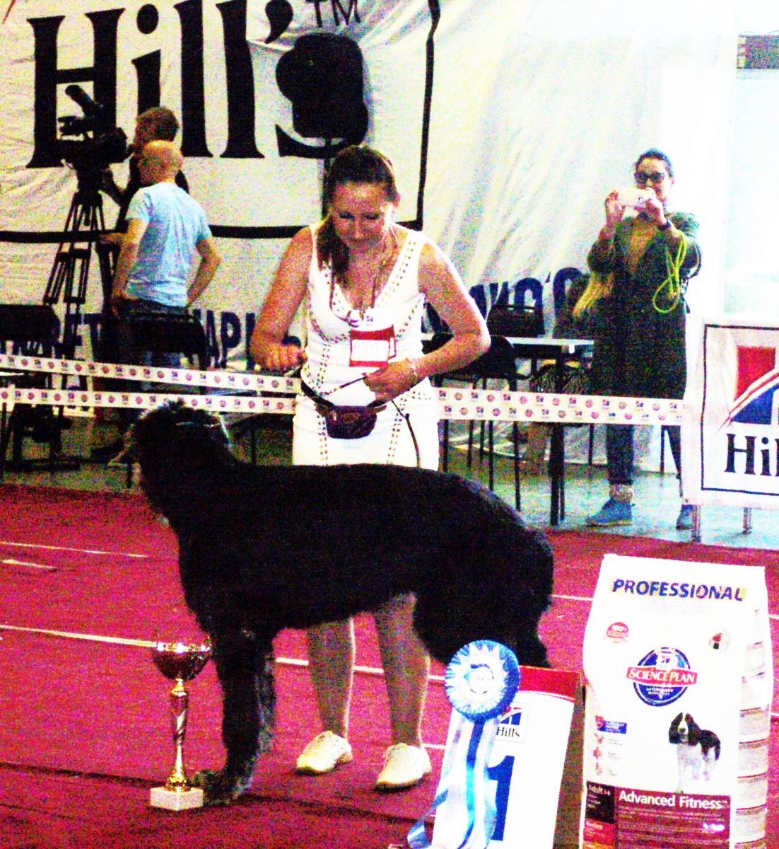 Meilleur chiot de l'exposition