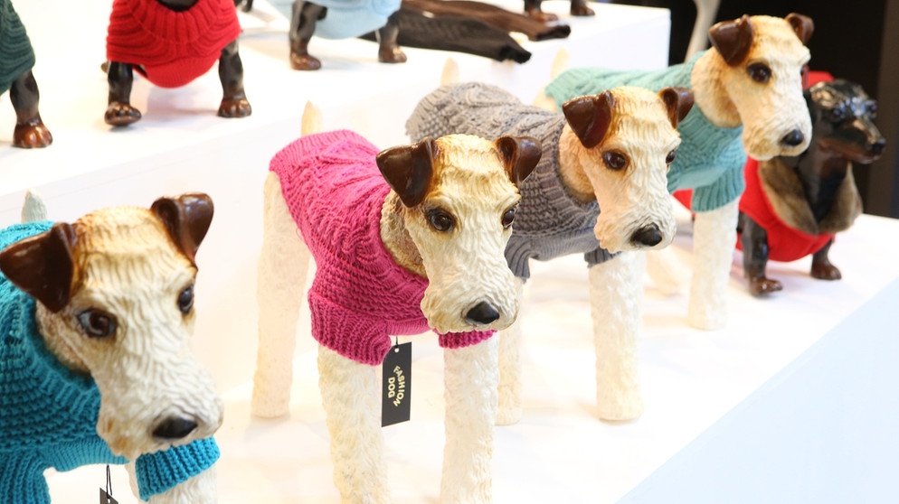 Expositions insolites