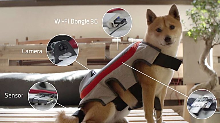 Dispositif de savoir-faire