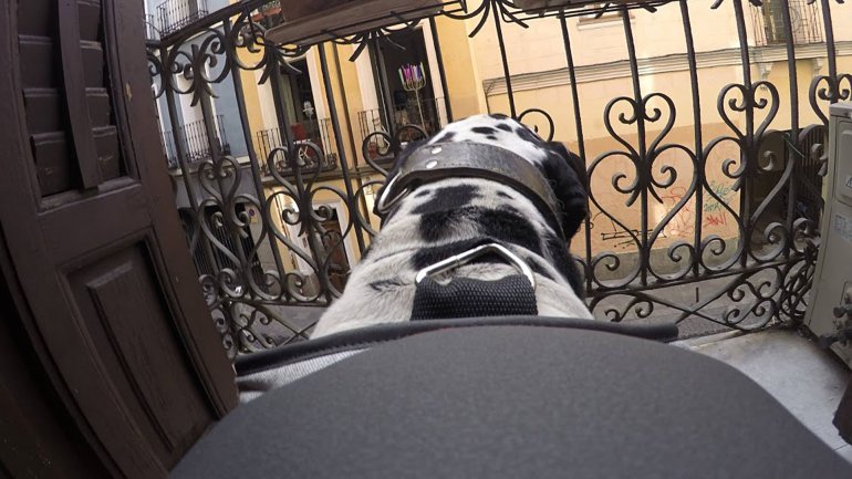 L'objectif principal de l'appareil