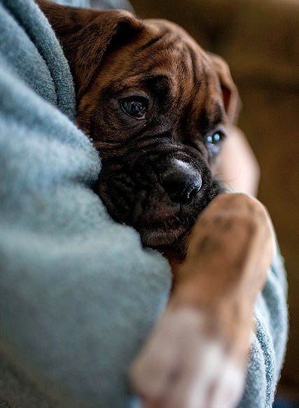 Ils ont besoin de vous !