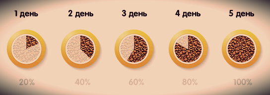 un schéma pour la transition d'un chat vers une nouvelle alimentation