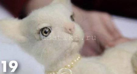 feutrage d'un chat en laine