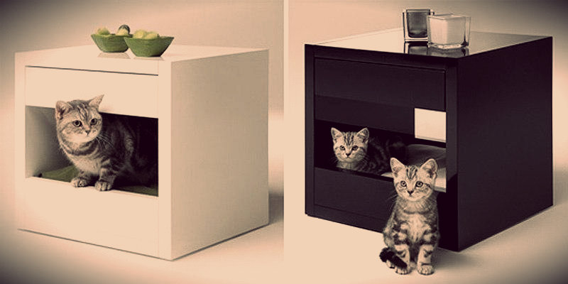 étagère pour animaux