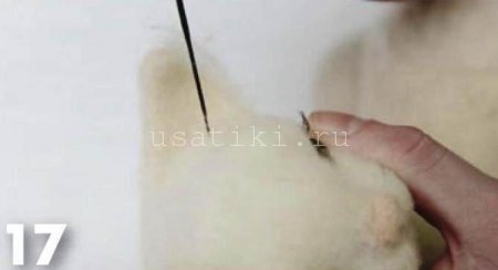 feutrage d'un chat en laine