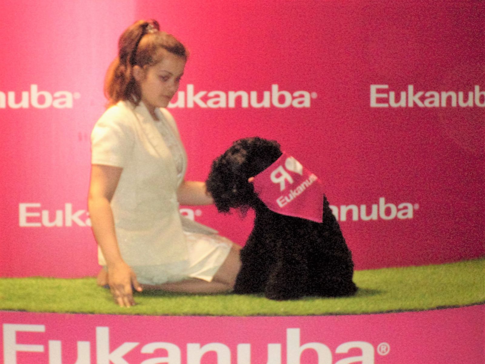 Concours des jeunes meneurs