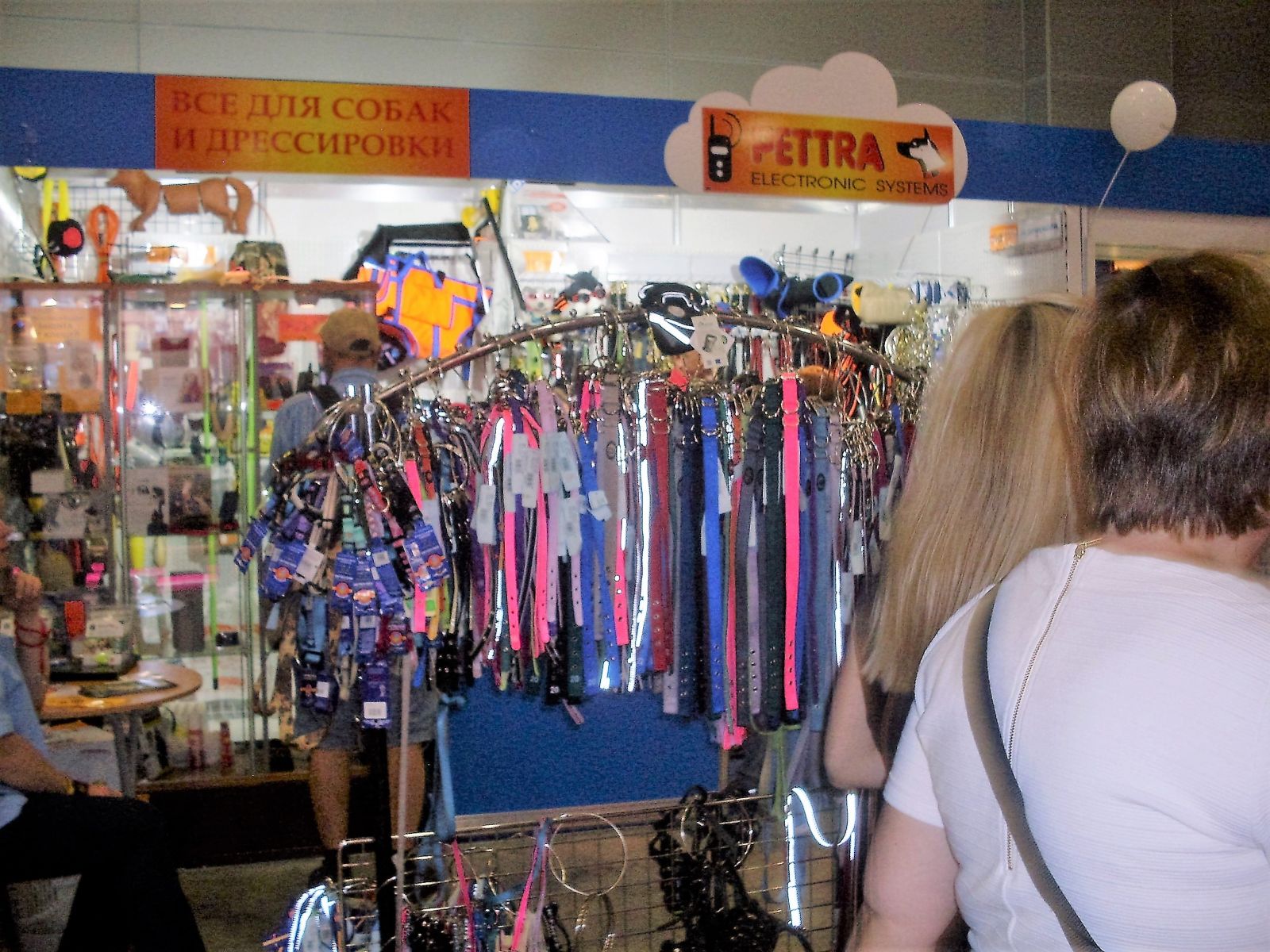 Accessoires pour chiens