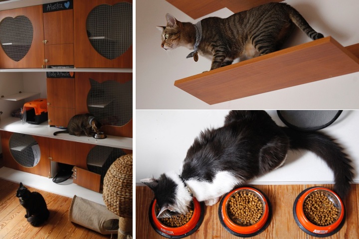 Hôtel pour chats jaunes