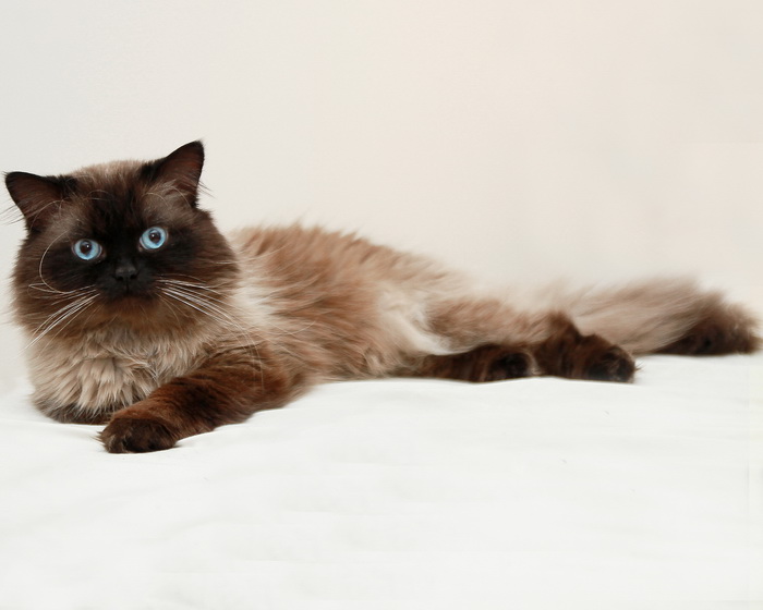 12013023456_7286abceb9_k