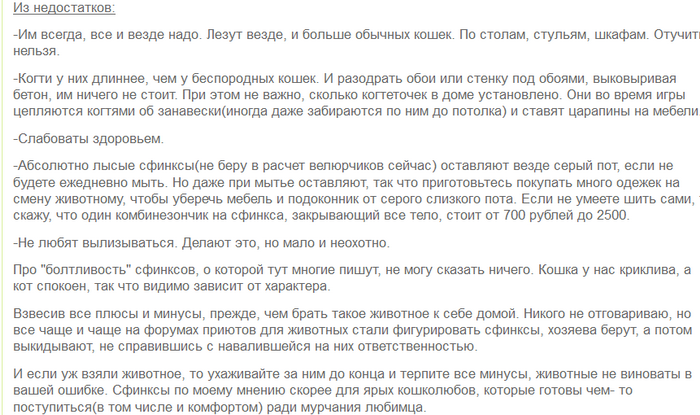 Examen de la race Don Sphynx