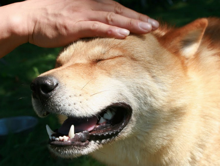 sourires des Aïnous d'Hokkaido