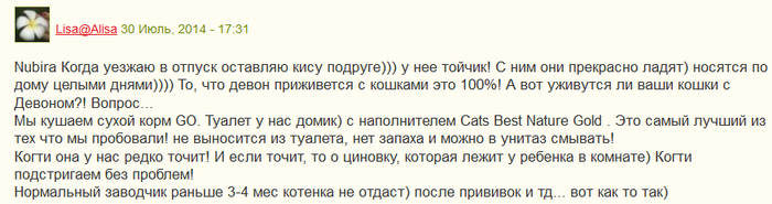 Avis sur un chat Devon Rex