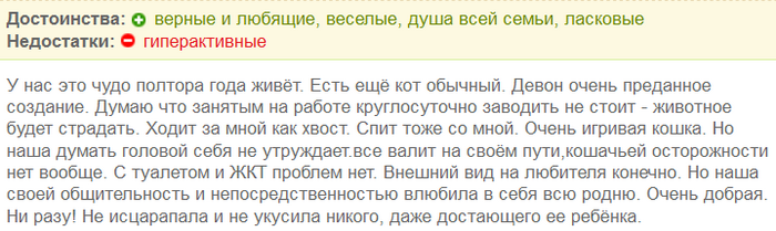 avis sur les chats Devon Rex