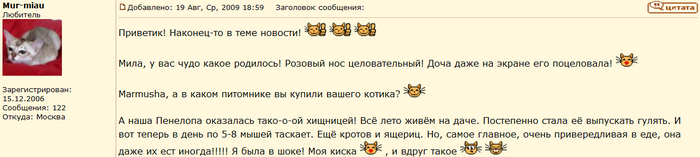 Avis sur un chat Burmilla