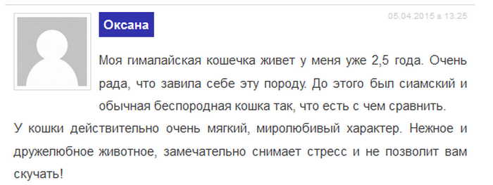 Revue de la race de chat himalayenne