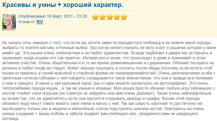 Avis sur Egyptian Mau