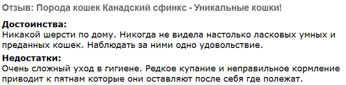 Avis sur les chats Sphynx canadiens