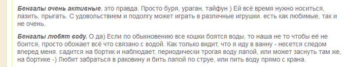 Avis sur un chat du Bengale tiré d'un forum