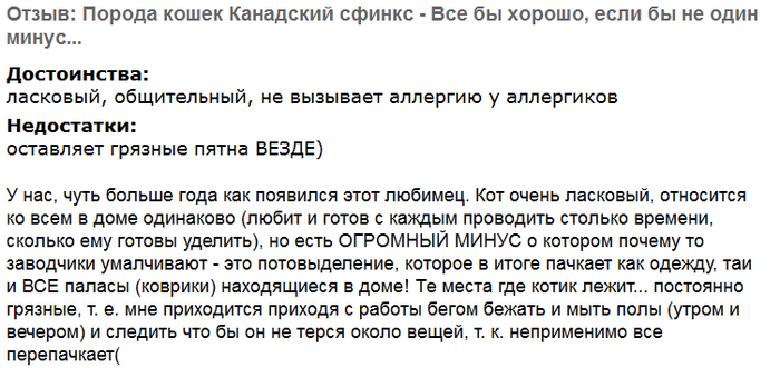Avis sur les chats Sphynx canadiens