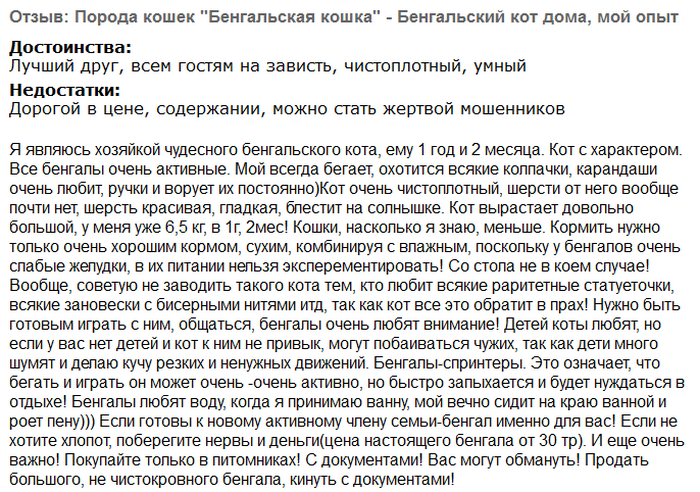 Avis sur un chat du Bengale