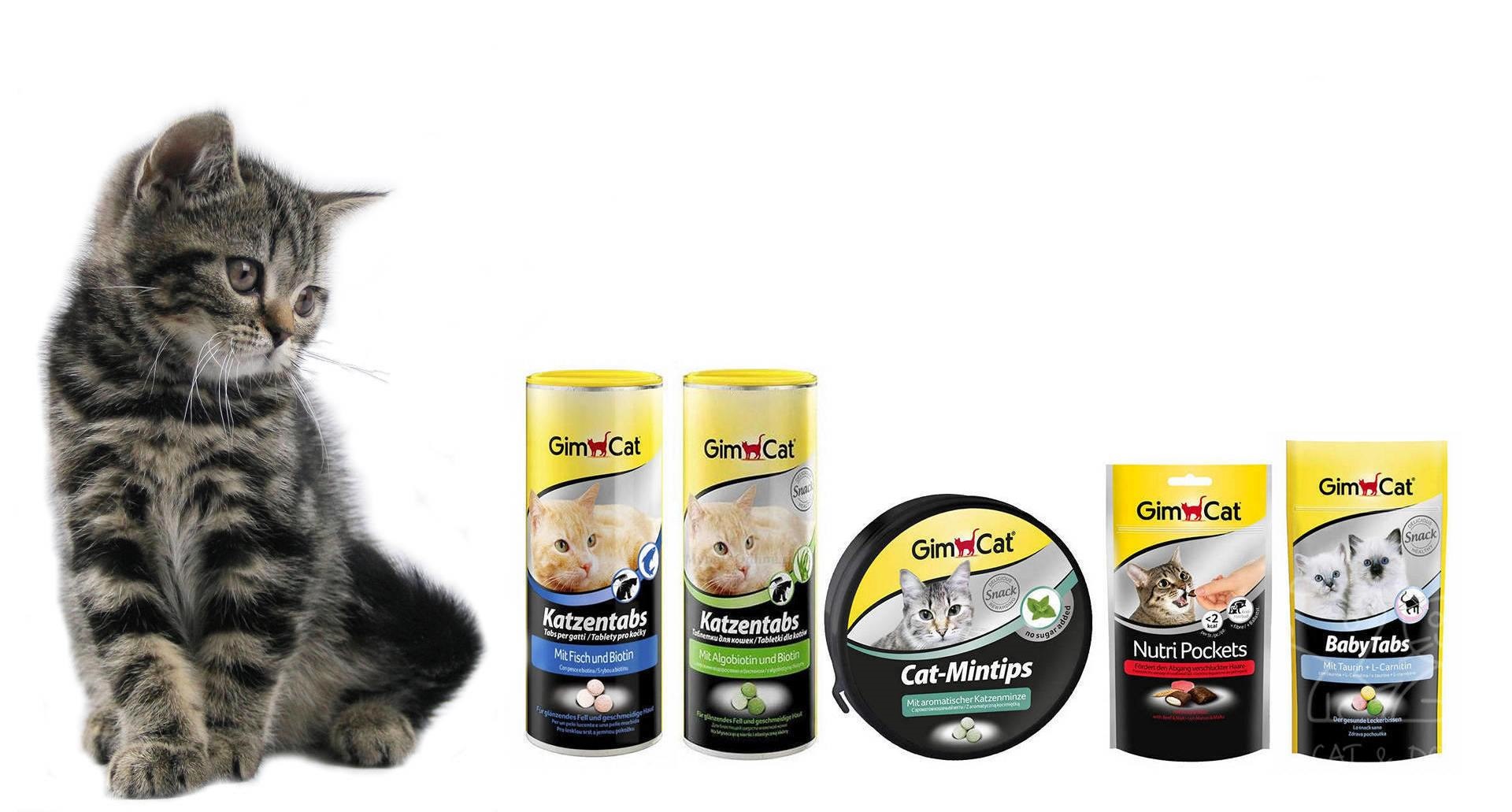 Katzentabs par Gimcat