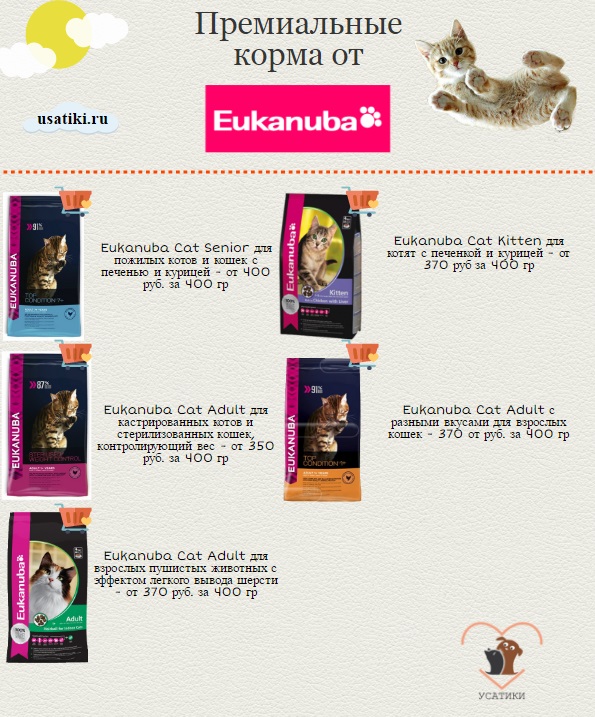 Les croquettes Eukanuba pour chats sont les meilleures.