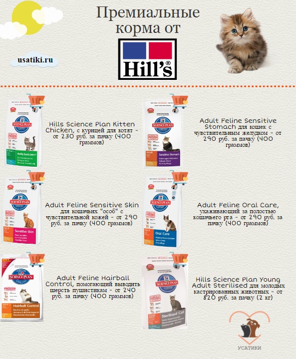 La meilleure nourriture pour chats Hill's