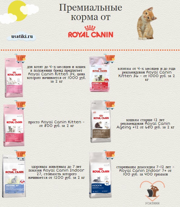 La meilleure nourriture pour chats Royal Canin