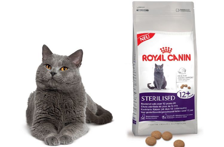 Aliments Royal Canin