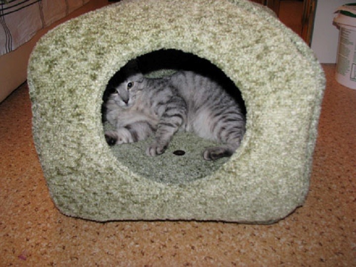 maison pour chat à faire soi-même