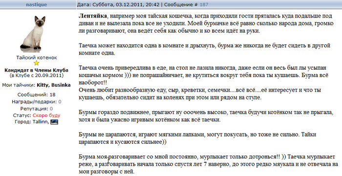 Avis de propriétaires de chats birmans