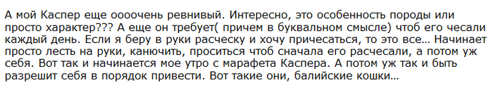 Avis sur les chats balinais tirés d'un forum