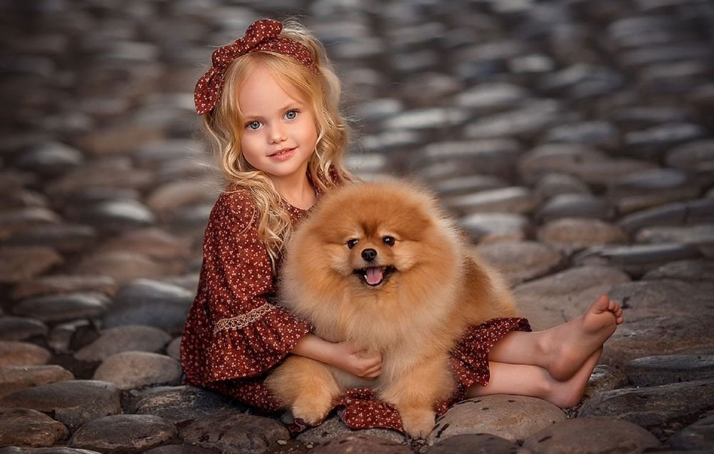Spitz et un enfant