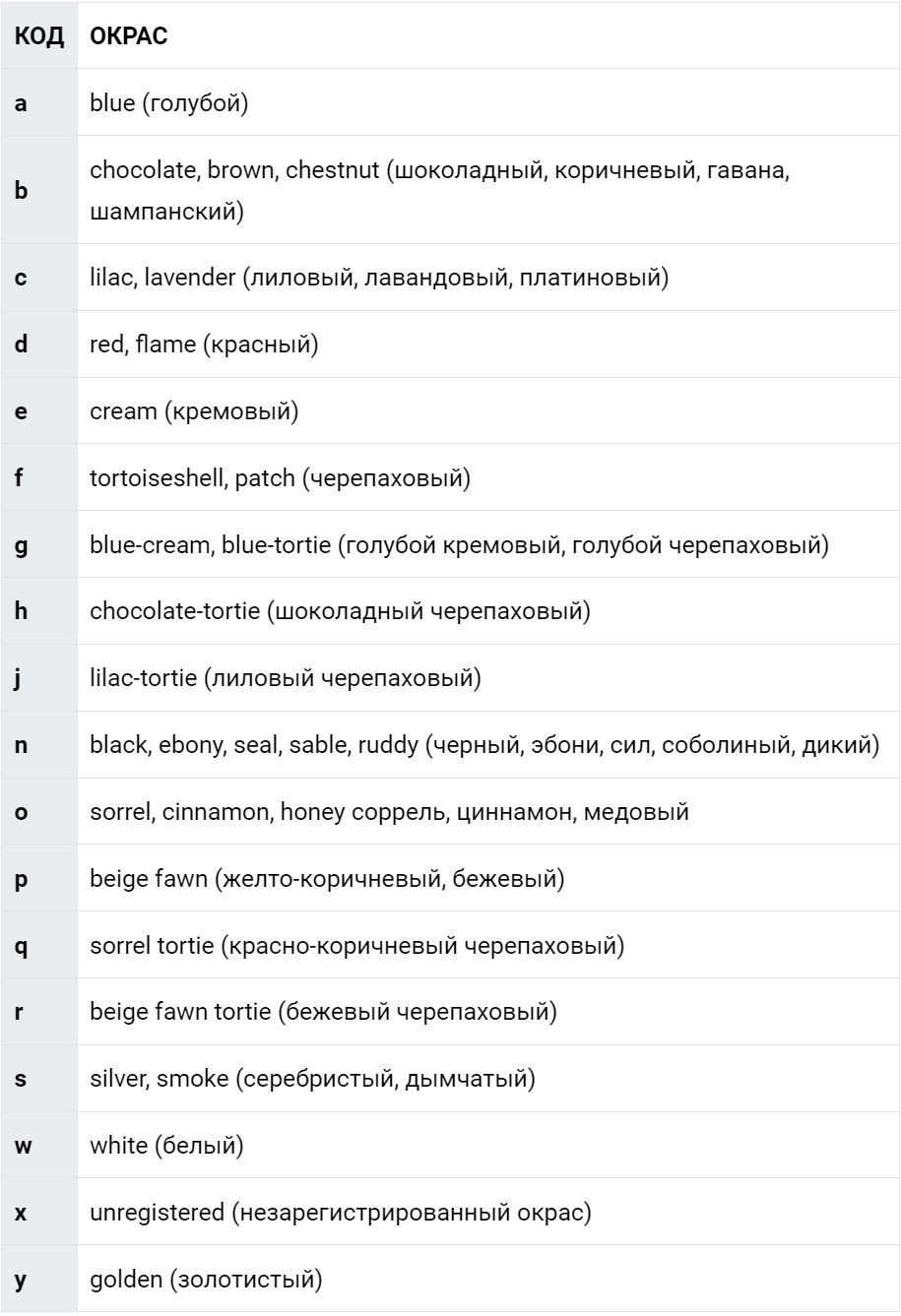 standard de couleur pour les chats Scottish Fold