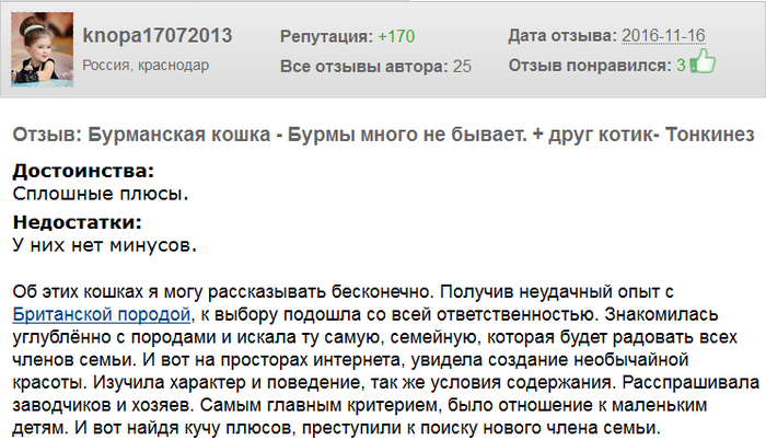 Avis sur un chat birman