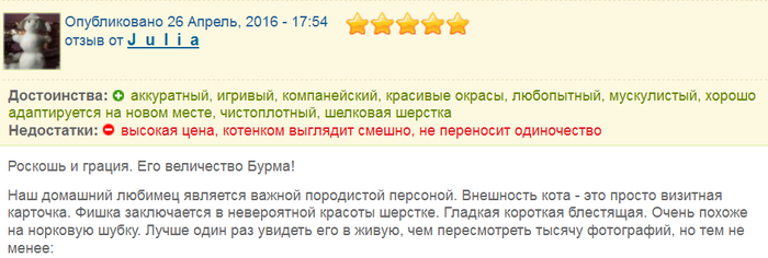 Avis de propriétaires de chats birmans