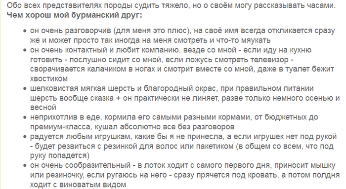 Avis sur le chat birman