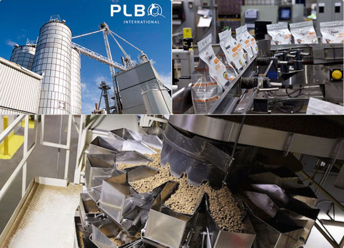 PLB International Inc.