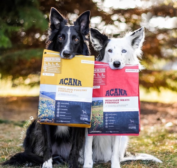 Nourriture pour chiens Acana