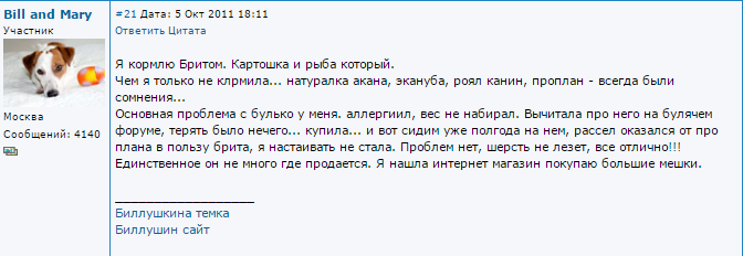 Avis sur les soins britanniques pour chiens