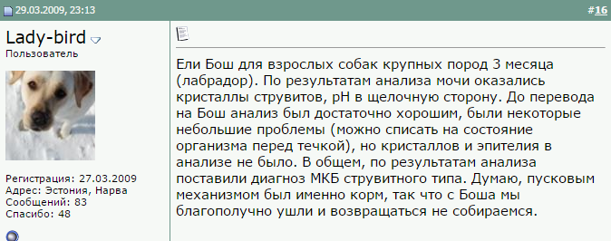 Avis sur les croquettes Bosch pour chiens